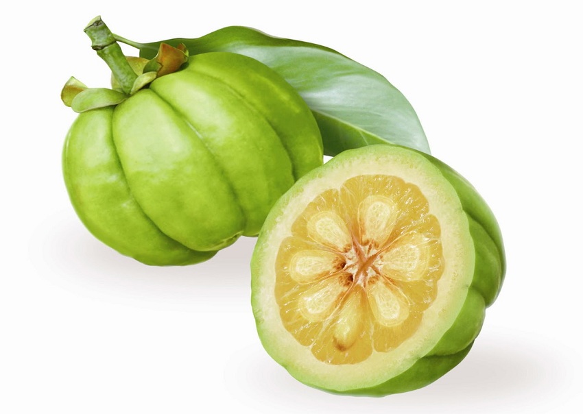 What Is Garcinia Cambogia 