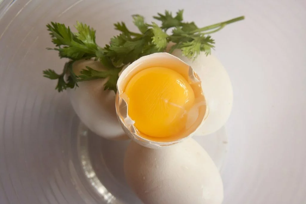 Egg Yolk